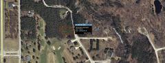 8011 Carriage Ln, Canadian Lakes, MI